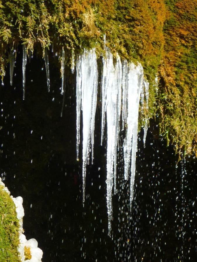 Wolfs Ferienhaus - Natuerlich Eifel Blankenheim  Zewnętrze zdjęcie