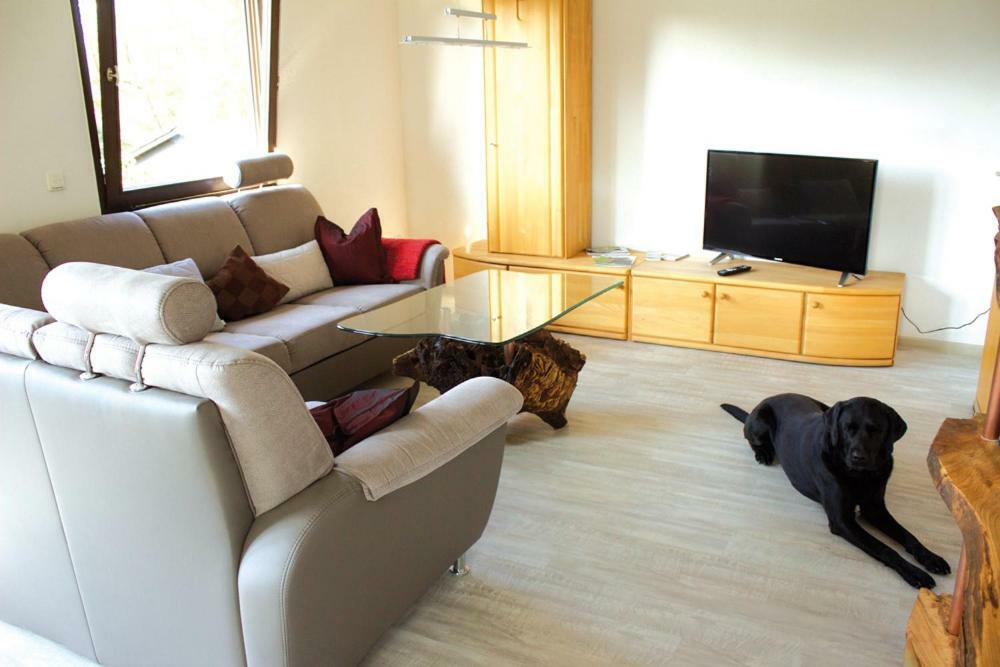 Wolfs Ferienhaus - Natuerlich Eifel Blankenheim  Zewnętrze zdjęcie