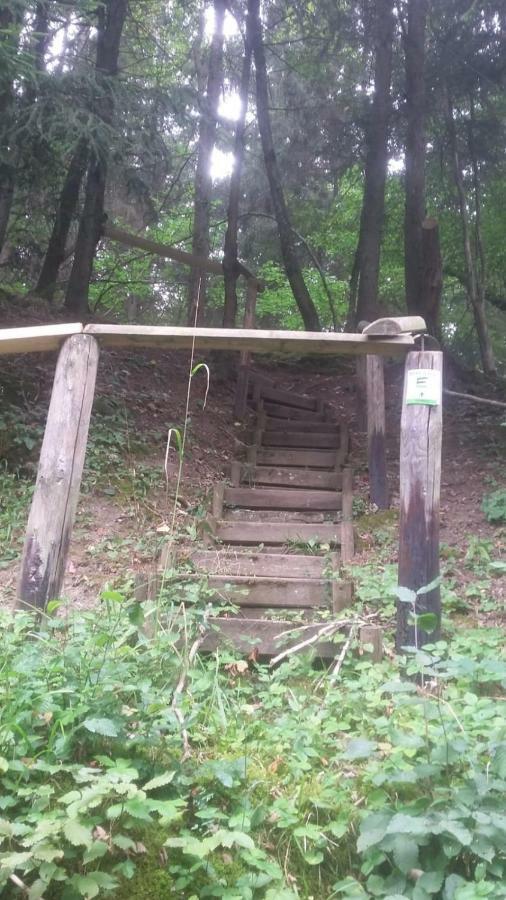 Wolfs Ferienhaus - Natuerlich Eifel Blankenheim  Zewnętrze zdjęcie