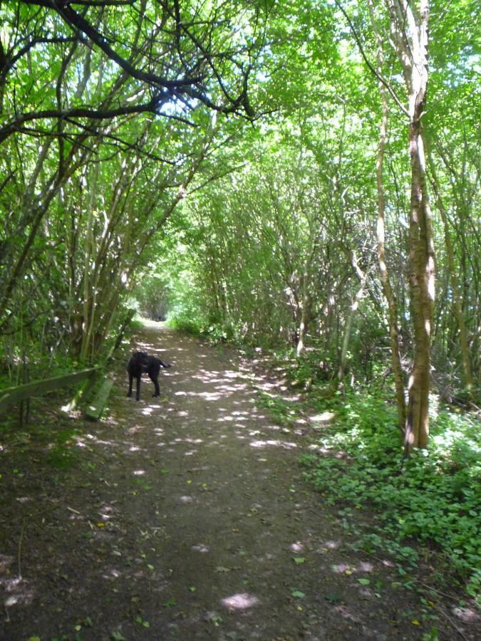 Wolfs Ferienhaus - Natuerlich Eifel Blankenheim  Zewnętrze zdjęcie